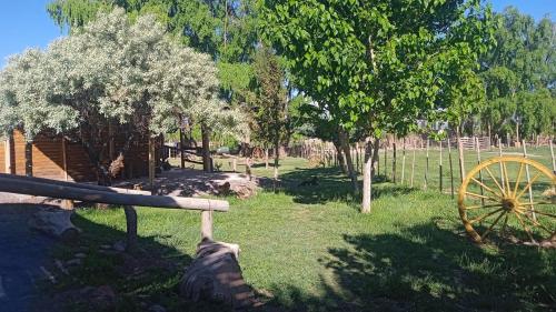 En have udenfor Cabañas bola 8