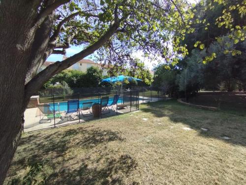 a yard with a swimming pool and a tree at Maison de vacances avec piscine et jardin in Bompas