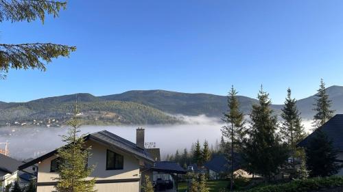 a view of a lake with mountains in the background at Chalet 348 in Palyanytsya
