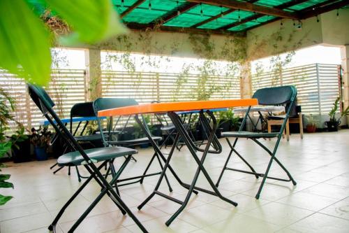 a table and chairs in a room with plants at Innos inn in Ablekuma