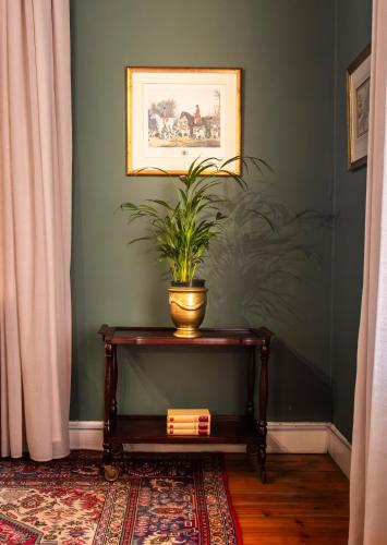 a potted plant on a table in a room at KAROO RANCHING Townhouse in Graaff-Reinet