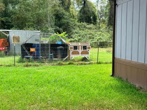a chicken coop in a yard next to a fence at The Refuge at Vanderosa in Conroe