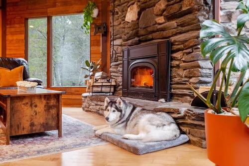 Gambar di galeri bagi MapleCastle == HotTub, RiverSide, IndoorHummock, FirePlace, BackYard di Hancock