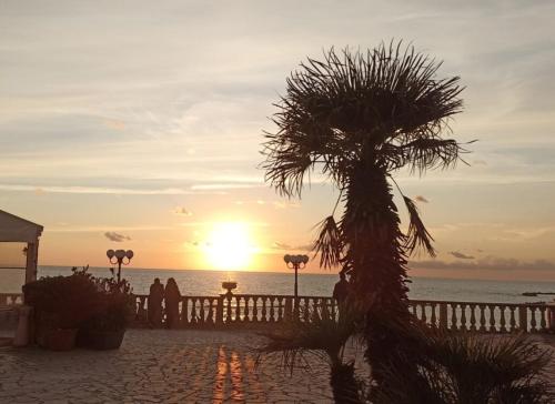 a sunset on the beach with a palm tree at My House in Anzio