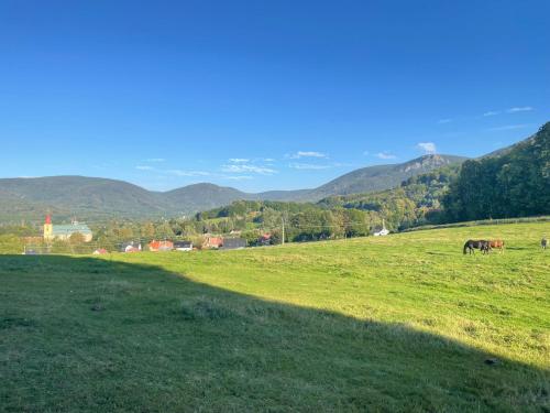 two horses grazing in a field with mountains in the background at Tyllichova Chata in Hejnice