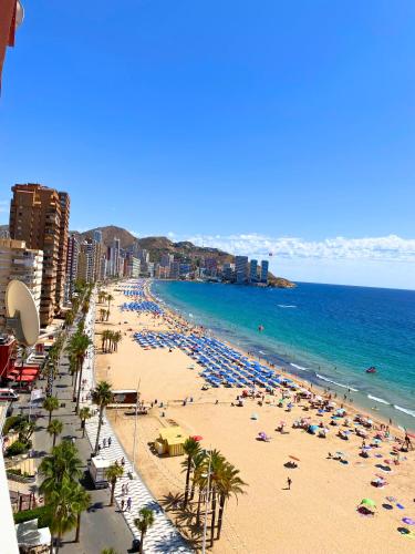 1ª Línea de Levante. Iberia