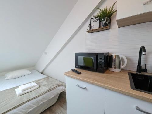Tiny Studio w Detached Bath