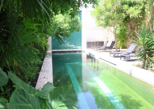 Una piscina con árboles y sillas al lado. en El Pueblo Mérida, en Mérida