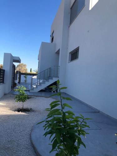 a plant in front of a building with stairs at Toska Residence in Loutraki
