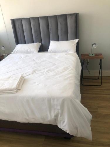 Serenity Plus at 77 Independence Avenue , Windhoek CBD