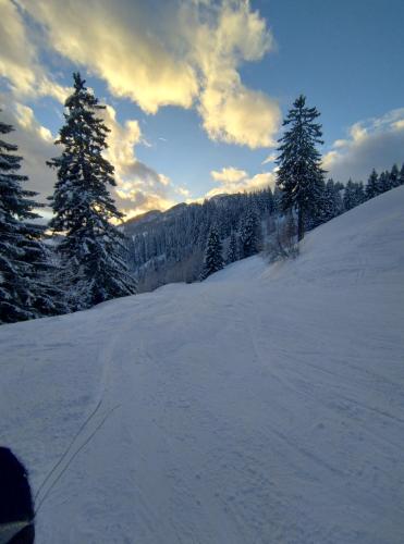 a snow covered slope with trees on a mountain at Ferienwohnung BergTime in Weißenbach bei Liezen