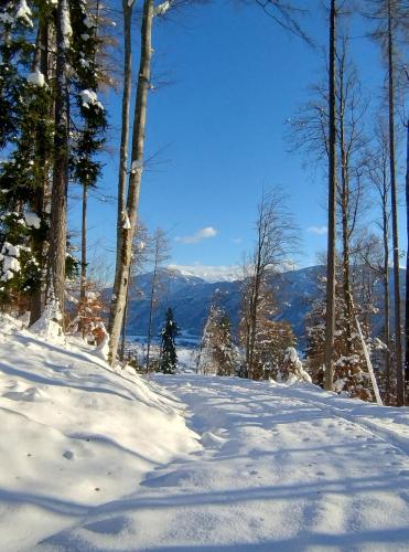 a snow covered slope with trees and mountains in the background at Ferienwohnung BergTime in Weißenbach bei Liezen