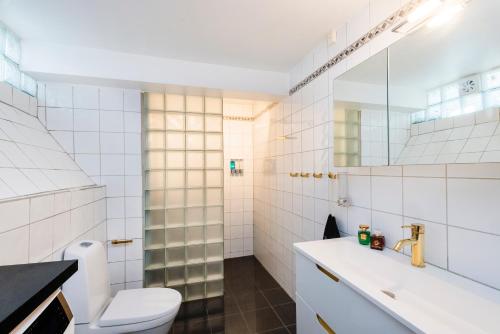 een badkamer met een toilet, een wastafel en een spiegel bij Just steps behind the Royal Palace in Oslo