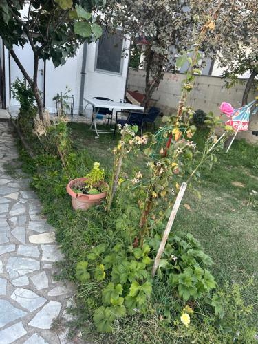 a garden with some plants in a yard at Rooms Struga in Struga