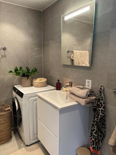 a bathroom with a washing machine and a sink at Luxury Seaside Apartment Tromsø in Tromsø
