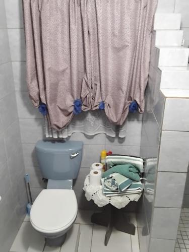 a small bathroom with a toilet and a window at Sunflower Guesthouse in Ventersburg