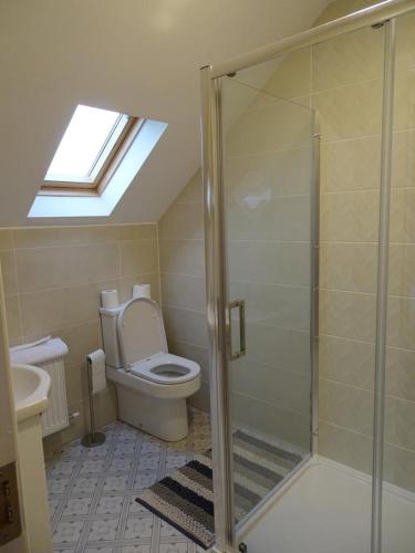 a bathroom with a shower and a toilet with a skylight at Forrest view in Dunfanaghy