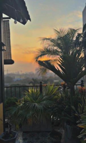 a view of a sunset from a garden with palm trees at Amber Mono in Hanoi
