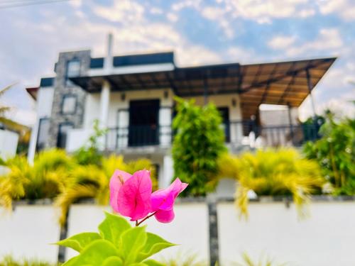 a pink flower in front of a house at Meadow View Villa in Dickwella