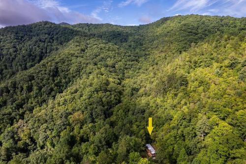 una vista aerea di una montagna boscosa con una strada gialla di High Hollow Cottage Modern Tiny Home with Hot Tub a Robbinsville