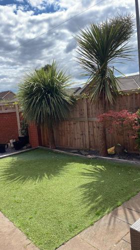 a yard with palm trees and a wooden fence at Affordable Single Room in Saltney