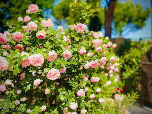 Un jardín fuera de Le Clos Des Anges
