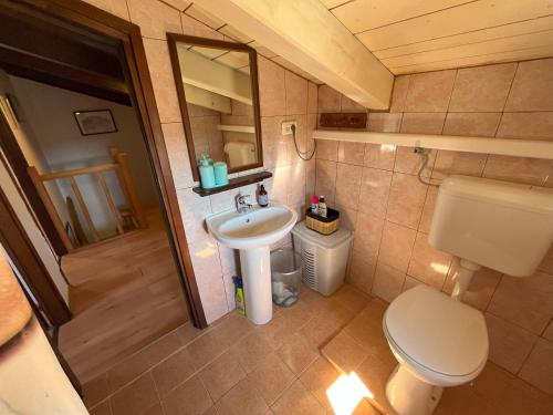 a small bathroom with a toilet and a sink at House Santa Chiara Istria in Lanišće