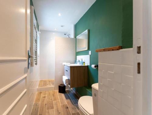 a bathroom with a toilet and a green wall at gîte Loré in Vertus