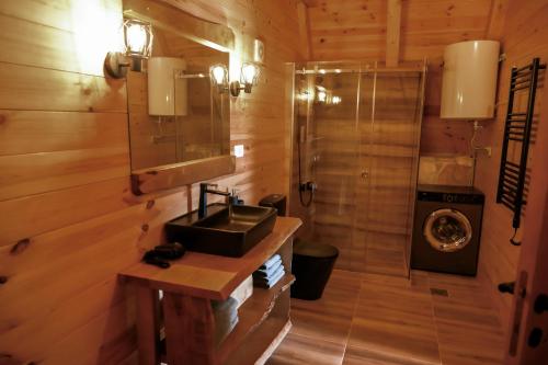 a bathroom with a sink and a shower at Chalet Highland in Pluzine