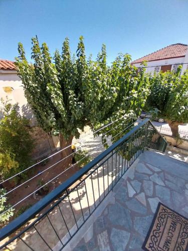 a row of trees on a balcony with a fence at Karamaniko in Episkopí
