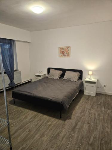 a bedroom with a large bed in a room at Bianca's vakantiehuis in Houthalen-Helchteren