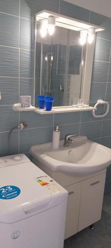a bathroom with a sink and a mirror and a toilet at Accommodation Centar, Murter in Murter