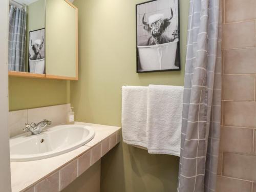 a bathroom with a sink and a shower with towels at Figgy Cottage in Ripon