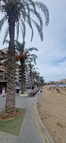 Torrevieja Playa y Mar