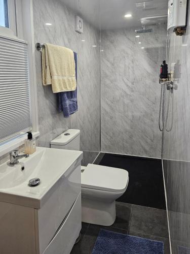 a bathroom with a toilet and a sink and a shower at The Annexe in Northam