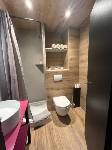 a bathroom with a toilet and a sink at Appartement au centre des Carroz in Arâches-la-Frasse