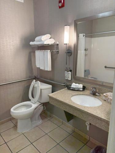 a bathroom with a toilet and a sink and a mirror at Holiday Inn Express Hotel & Suites Lafayette by IHG in Lafayette