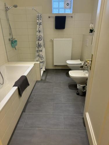 Ένα μπάνιο στο Ferienwohnung Zum Backenzahn