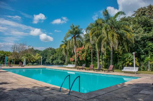 a swimming pool with benches and palm trees at Altos de la Viña, Wine Hotel & Spa in San Salvador de Jujuy