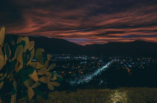a view of a city at night with a plant at Altos de la Viña, Wine Hotel & Spa in San Salvador de Jujuy
