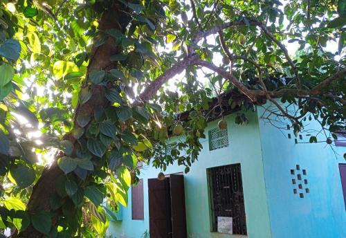 a blue building with a tree in front of it at Jacobs Homestay Unit 1 Low Budget in North Lakhimpur