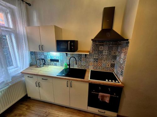 Kuchyň nebo kuchyňský kout v ubytování Apartments Aron Stinná