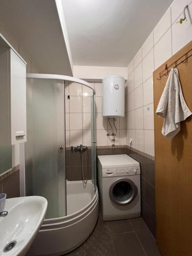 ein Badezimmer mit Waschmaschine und Waschbecken in der Unterkunft Maša&Marko in Trebinje