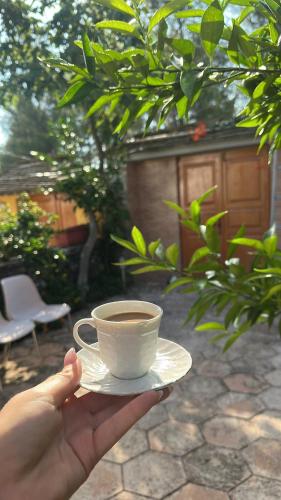 a hand holding a cup of coffee on a saucer at Villa Adams in Përmet