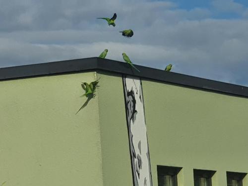 ホテルが所在する建物