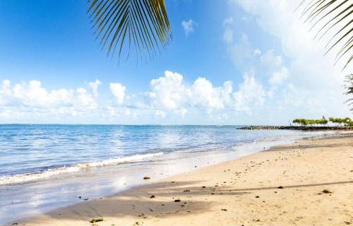 een strand met een palmboom en de oceaan bij AQUA Terrazas Studio 1 - ADA Accessible - Beach, Pool & Dining in Dorado