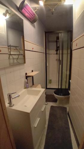a bathroom with a sink and a toilet at Appartement centre de Lodève in Lodève