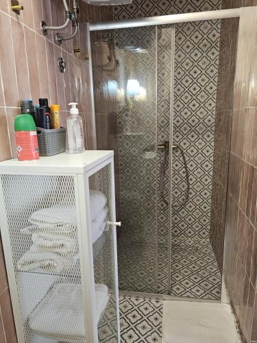 a shower with a glass door in a bathroom at RetroDream in Petrovaradin