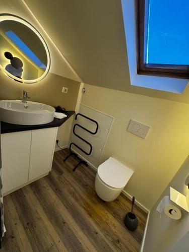 コルマールにあるJust In Colmar, maison complète avec parking privéの洗面台、トイレ、鏡のあるバスルーム