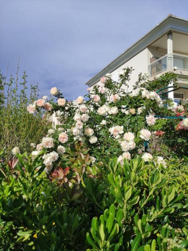 wonderful sea view photo 42